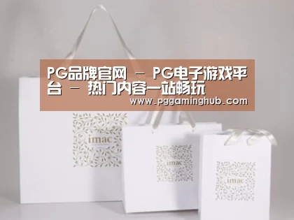 项目名称十一