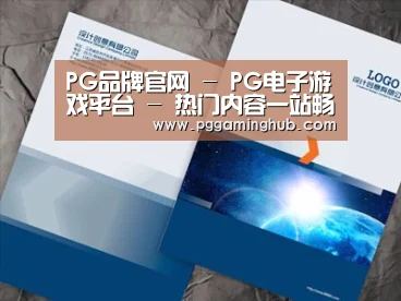 项目名称十