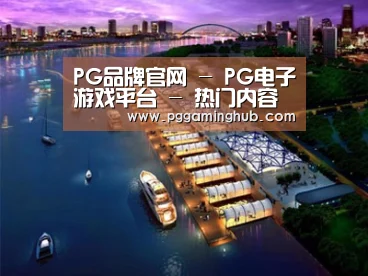 案例展示八