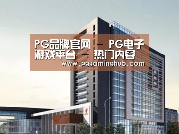 案例展示七