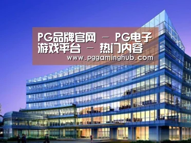 案例展示五