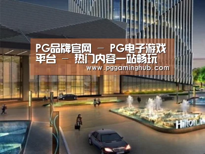 案例展示二