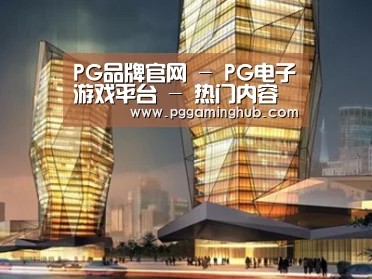 案例展示三